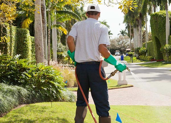 About Karval CO Pest Control